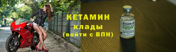 сатива Беломорск