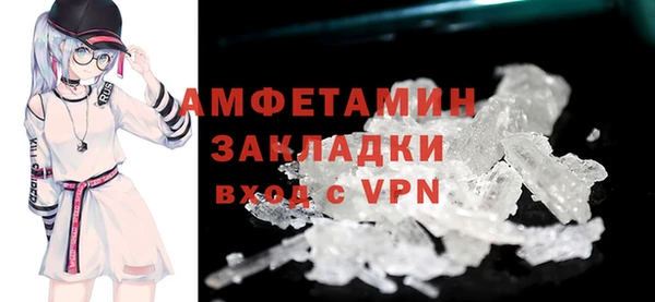 сатива Беломорск
