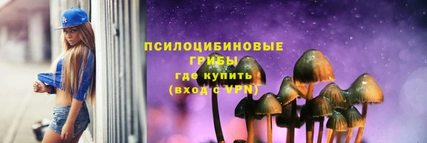 сатива Беломорск
