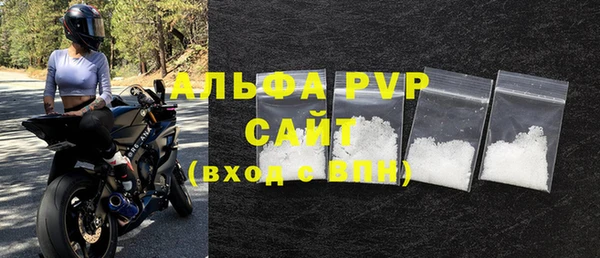сатива Беломорск