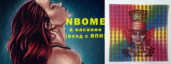 сатива Беломорск