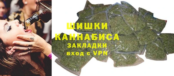 сатива Беломорск