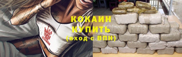 сатива Беломорск