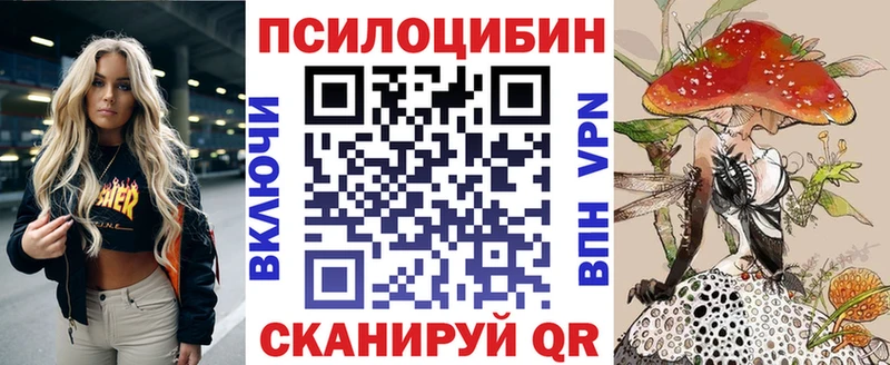 площадка официальный сайт  Высоковск  Псилоцибиновые грибы Psilocybine cubensis 